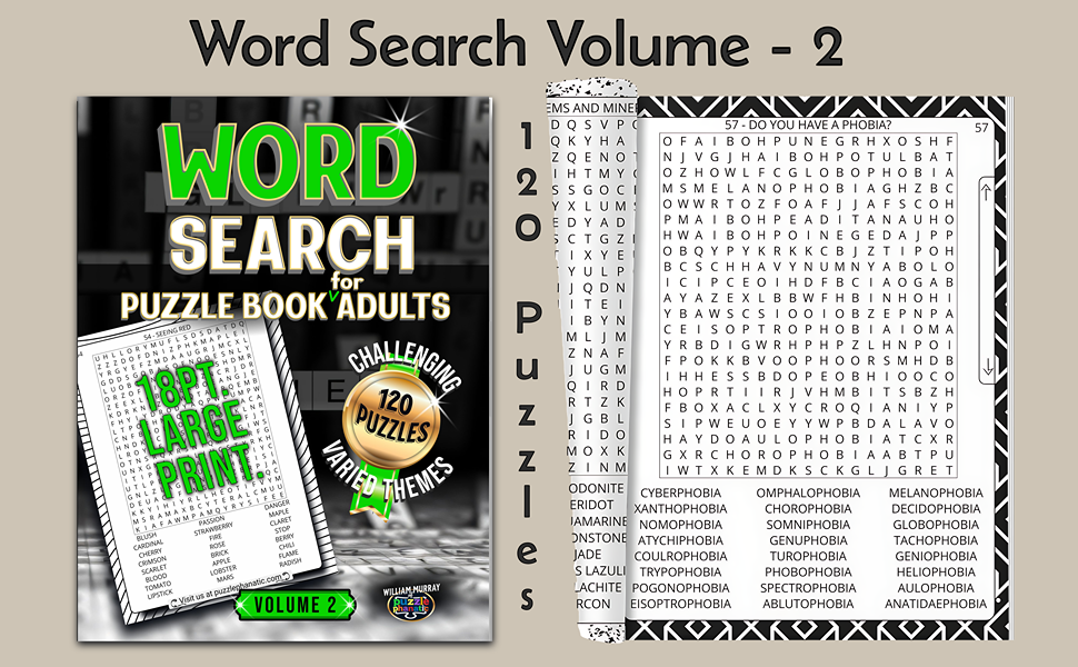 Word search volume 2 large print sales copy #1