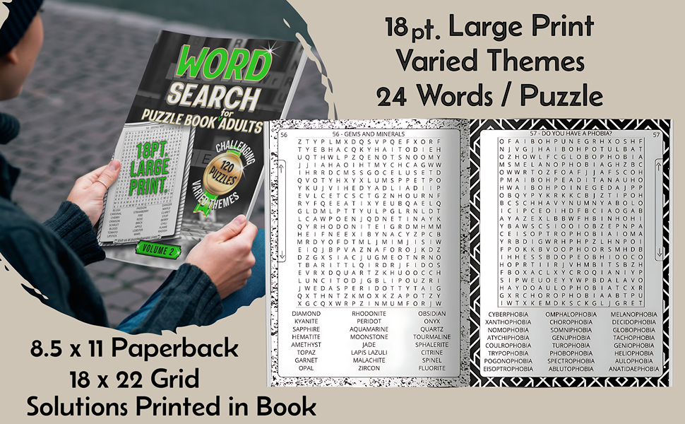 Word search volume 2 large print sales copy #2